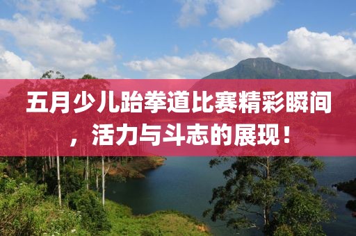 五月少儿跆拳道比赛精彩瞬间，活力与斗志的展现！