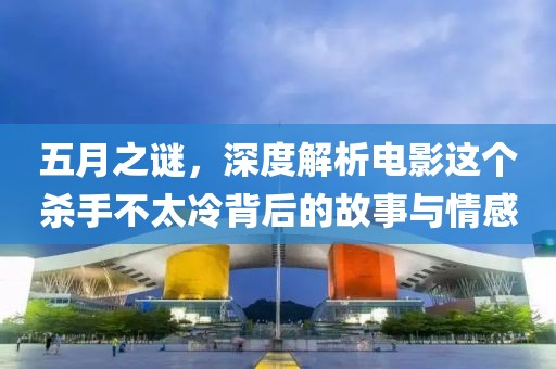 五月之谜，深度解析电影这个杀手不太冷背后的故事与情感