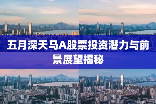 五月深天马A股票投资潜力与前景展望揭秘