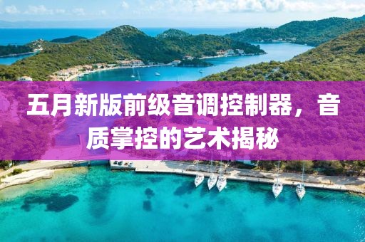 五月新版前级音调控制器，音质掌控的艺术揭秘