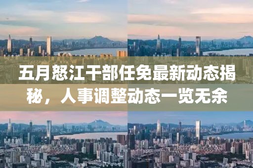 五月怒江干部任免最新动态揭秘，人事调整动态一览无余