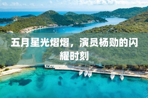五月星光熠熠，演员杨勋的闪耀时刻
