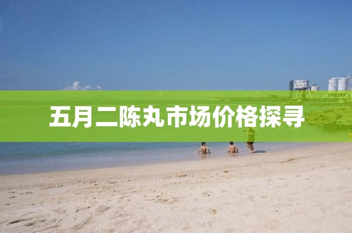 五月二陈丸市场价格探寻