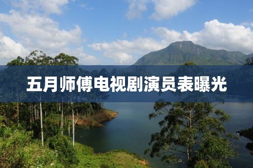 五月师傅电视剧演员表曝光