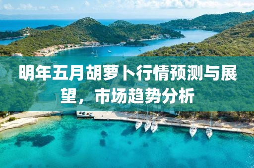 明年五月胡萝卜行情预测与展望，市场趋势分析