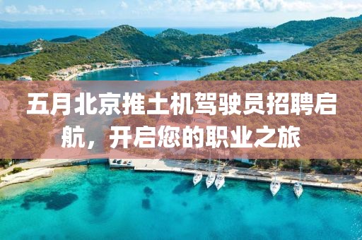 五月北京推土机驾驶员招聘启航，开启您的职业之旅