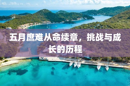 五月庶难从命续章，挑战与成长的历程