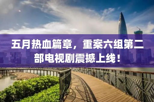 五月热血篇章，重案六组第二部电视剧震撼上线！