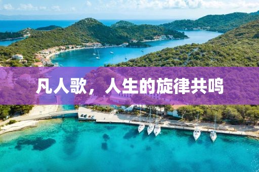 凡人歌，人生的旋律共鸣