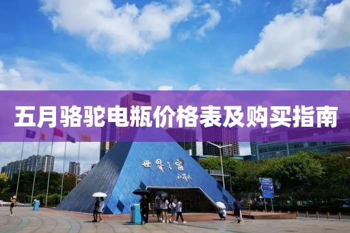 五月骆驼电瓶价格表及购买指南