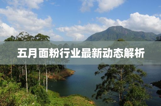 五月面粉行业最新动态解析