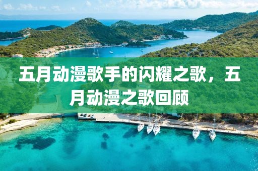 五月动漫歌手的闪耀之歌，五月动漫之歌回顾