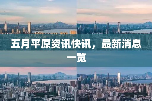 五月平原资讯快讯，最新消息一览