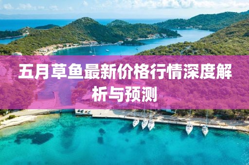 五月草鱼最新价格行情深度解析与预测