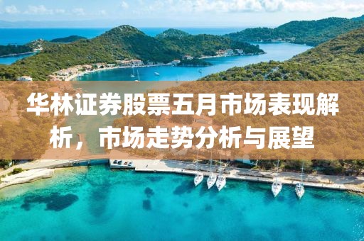 华林证券股票五月市场表现解析，市场走势分析与展望
