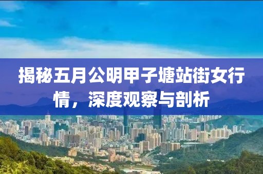 揭秘五月公明甲子塘站街女行情，深度观察与剖析