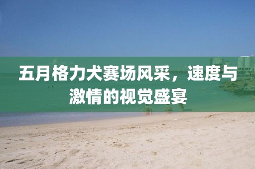 五月格力犬赛场风采，速度与激情的视觉盛宴