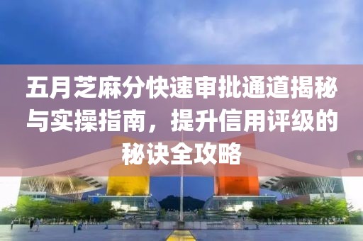 五月芝麻分快速审批通道揭秘与实操指南，提升信用评级的秘诀全攻略