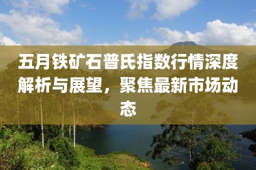 五月铁矿石普氏指数行情深度解析与展望，聚焦最新市场动态