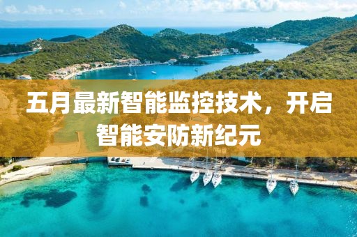 五月最新智能监控技术，开启智能安防新纪元