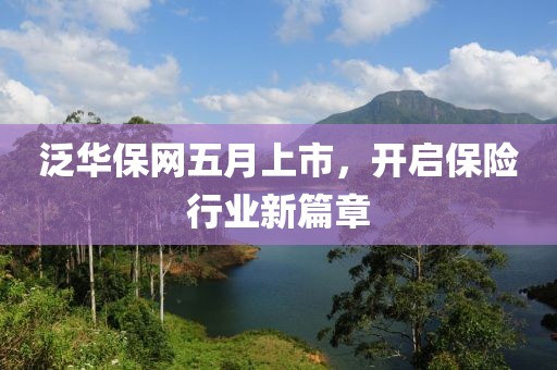 泛华保网五月上市，开启保险行业新篇章