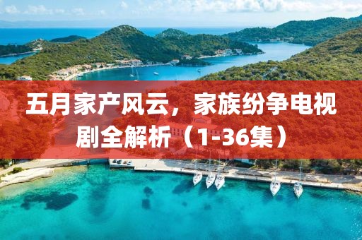 五月家产风云，家族纷争电视剧全解析（1-36集）