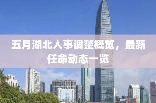 五月湖北人事调整概览，最新任命动态一览