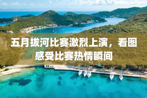 五月拔河比赛激烈上演，看图感受比赛热情瞬间