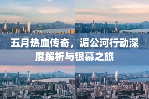 五月热血传奇，湄公河行动深度解析与银幕之旅
