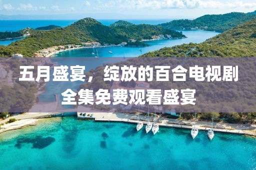 五月盛宴，绽放的百合电视剧全集免费观看盛宴