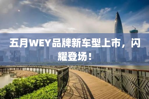 五月WEY品牌新车型上市，闪耀登场！