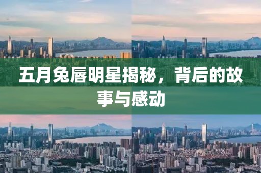 五月兔唇明星揭秘，背后的故事与感动