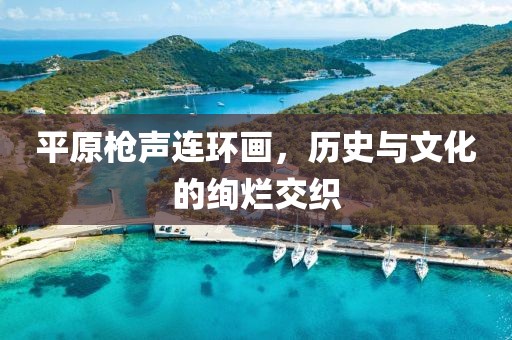 平原枪声连环画
