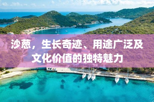 沙葱，生长奇迹、用途广泛及文化价值的独特魅力