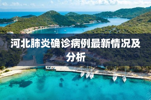 河北肺炎确诊病例最新情况及分析