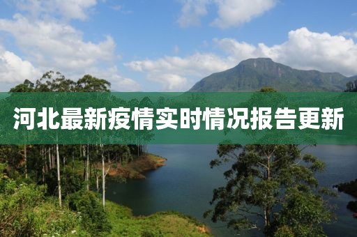 张诗 第42页