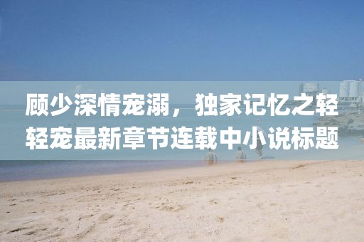 顾少深情宠溺，独家记忆之轻轻宠最新章节连载中小说标题