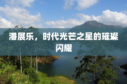 潘展乐，时代光芒之星的璀璨闪耀