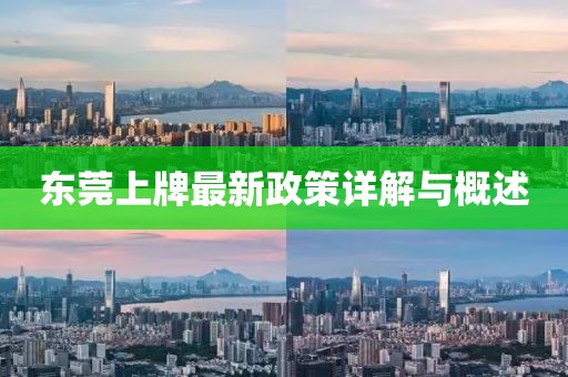东莞上牌最新政策详解与概述