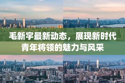 毛新宇最新动态，展现新时代青年将领的魅力与风采