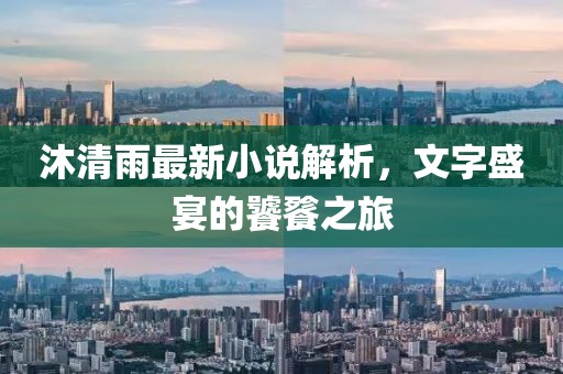 沐清雨最新小说解析，文字盛宴的饕餮之旅