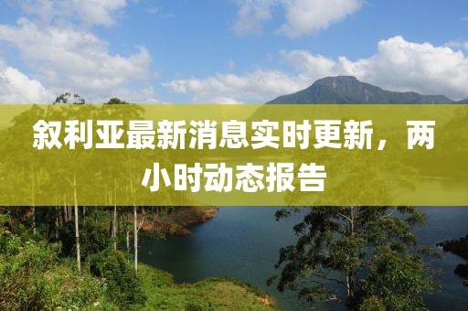 叙利亚最新消息实时更新，两小时动态报告