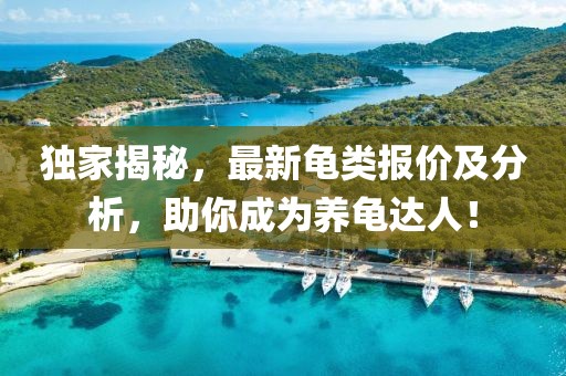 独家揭秘，最新龟类报价及分析，助你成为养龟达人！