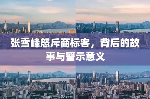 张雪峰怒斥商标客，背后的故事与警示意义