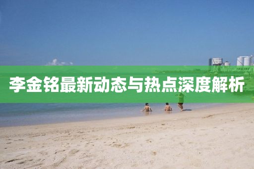李金铭最新动态与热点深度解析