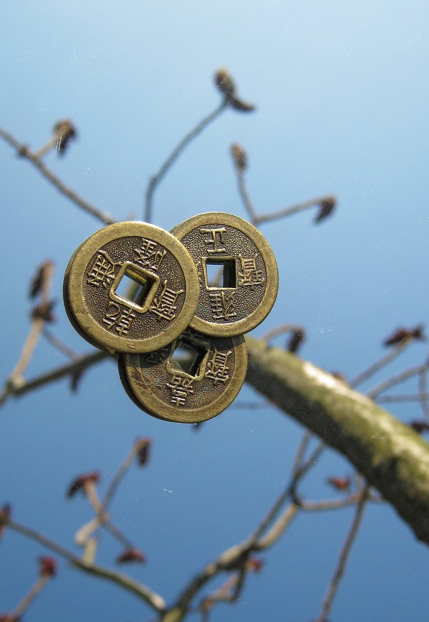 探索全新视角与理解的3A世界