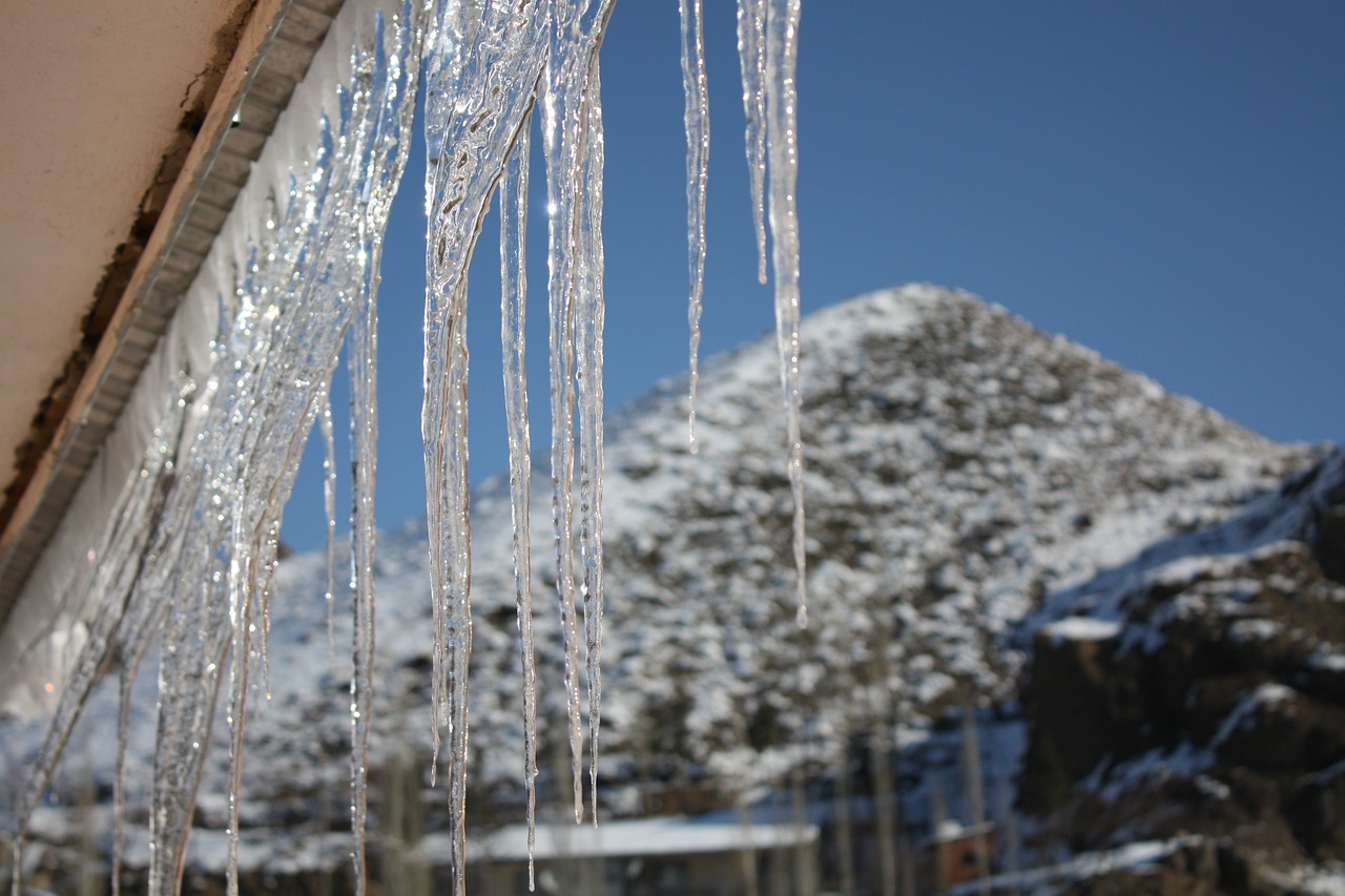 连环画 林海雪原