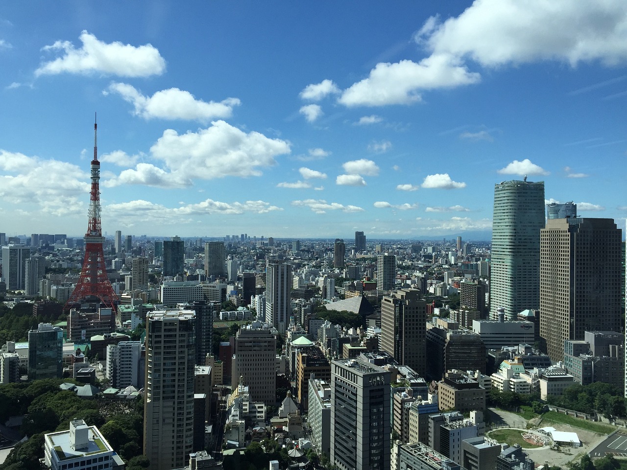 桐柏最新房价动态及市场走势，购房指南与最新市场动态