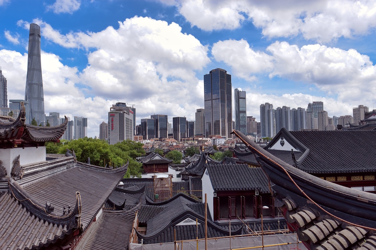 郸城土地最新动态，政策动向、市场走势及未来发展展望