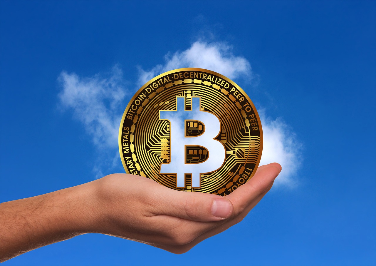 陕西玉米价格最新行情及分析概述